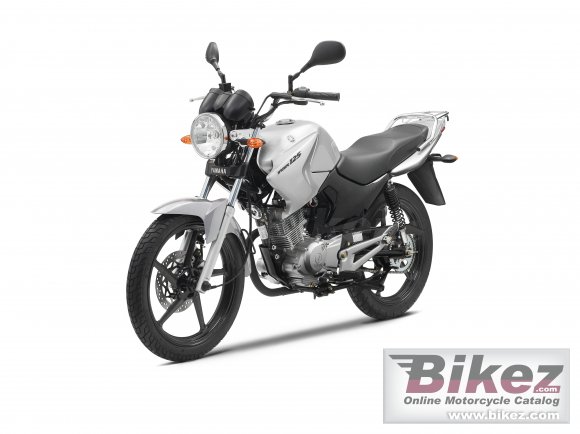 2010 Yamaha YBR 125 photo